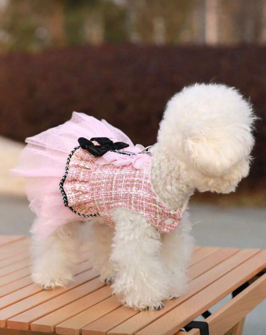 Ținută pentru căței