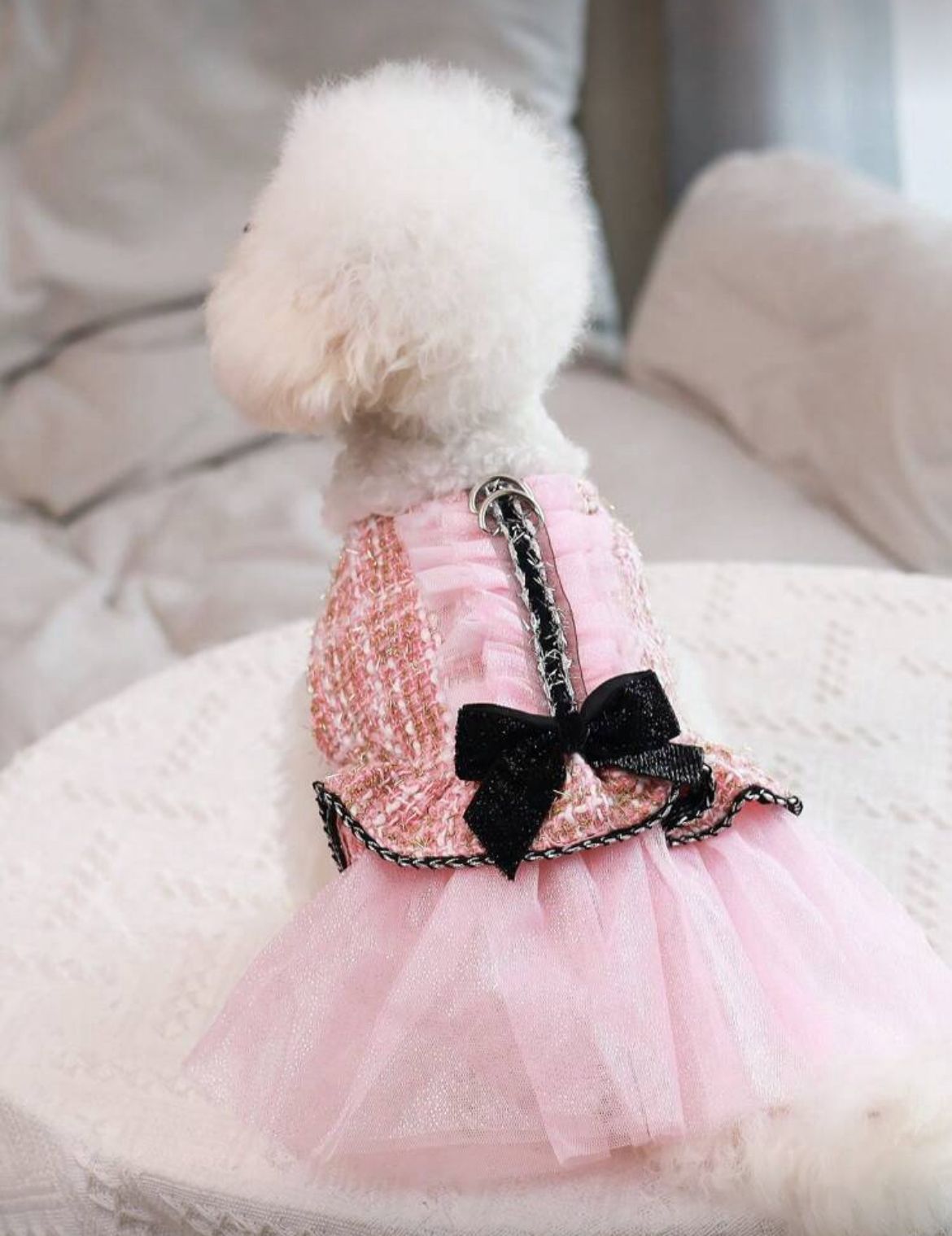 Ținută pentru căței