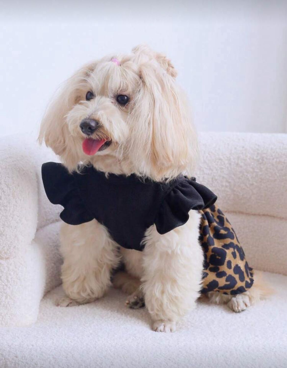 Rochie căței leopard