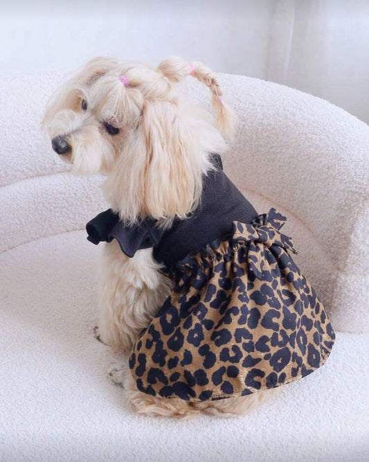 Rochie căței leopard