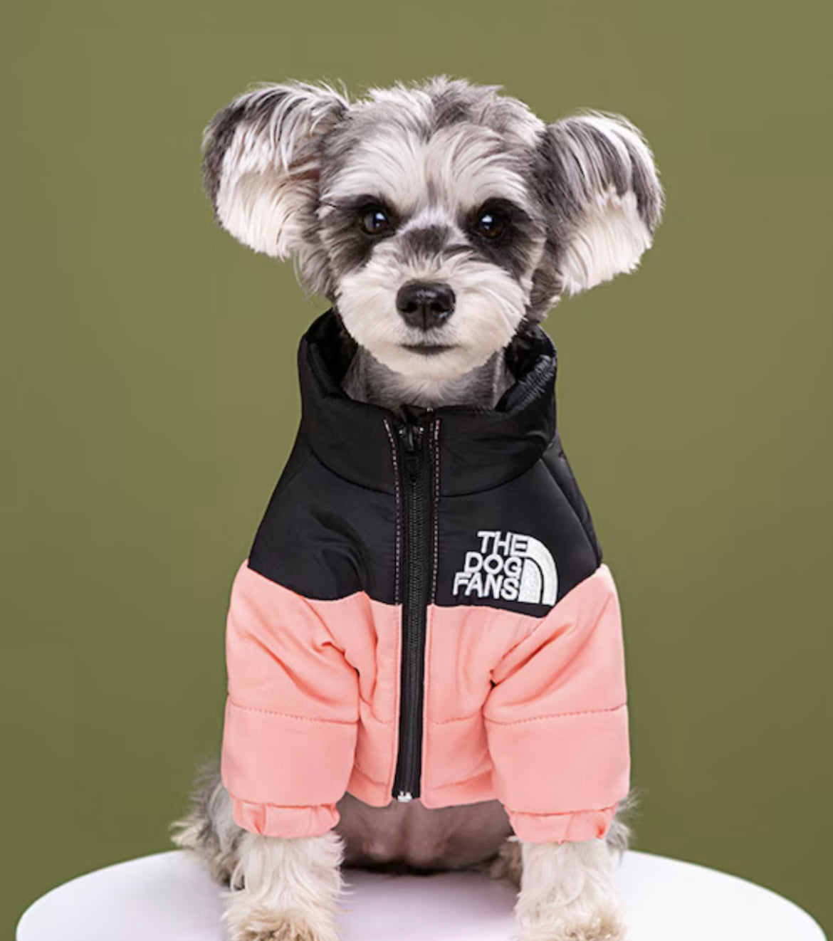 Geacă Matlasată Impermeabilă